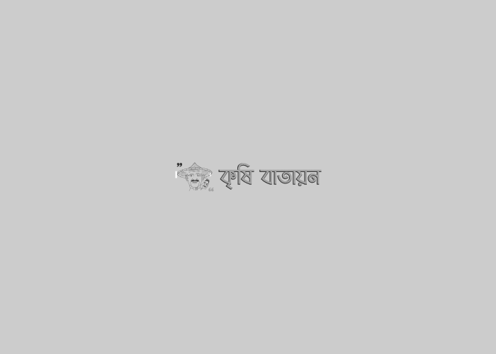 লাউয়ের উৎপাদন প্রযুক্তি