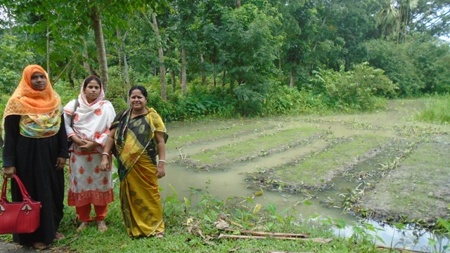 ভাসমান বীজতলা
